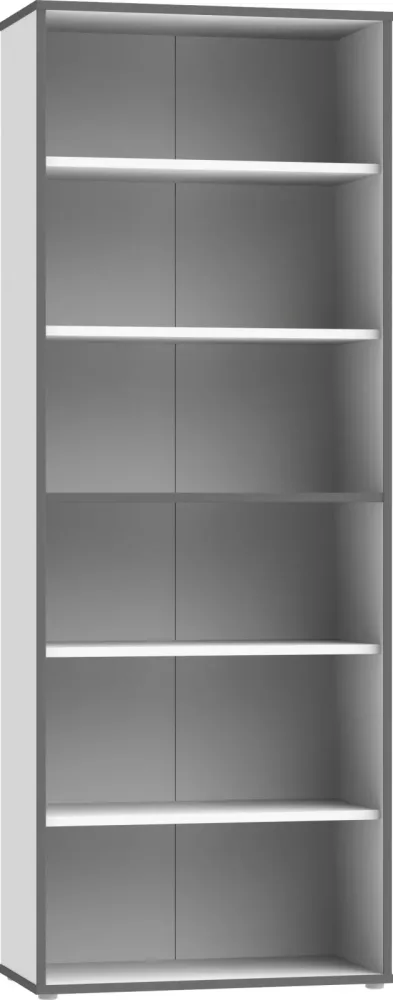 Regal In Grau/weiss 