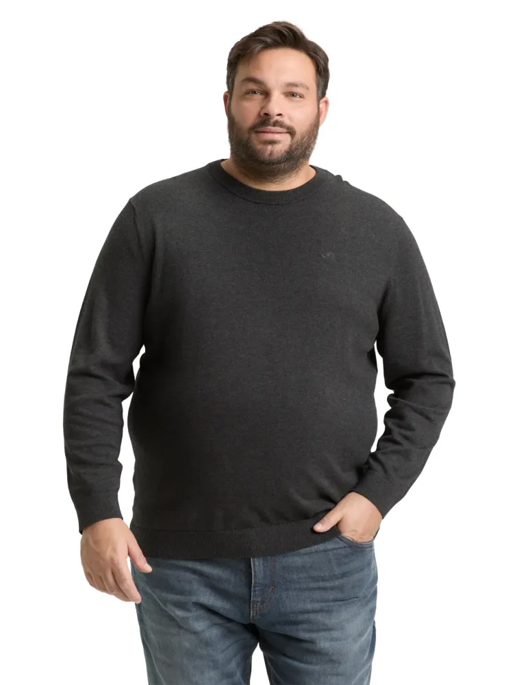TOM TAILOR PLUS Strickpullover mit Logo-Stickerei / Grosse Grössen