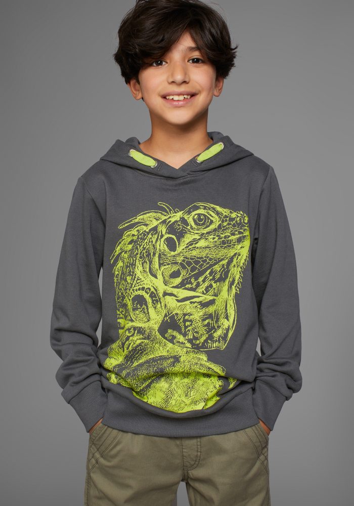 KIDSWORLD Kapuzensweatshirt »GECKO«, cooles Tiermotiv