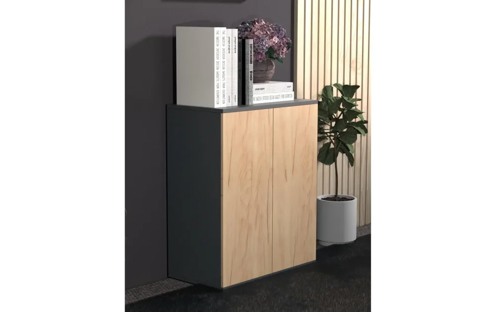 VCM Büroschrank Dalosa 2-Fach, Honig-Eiche