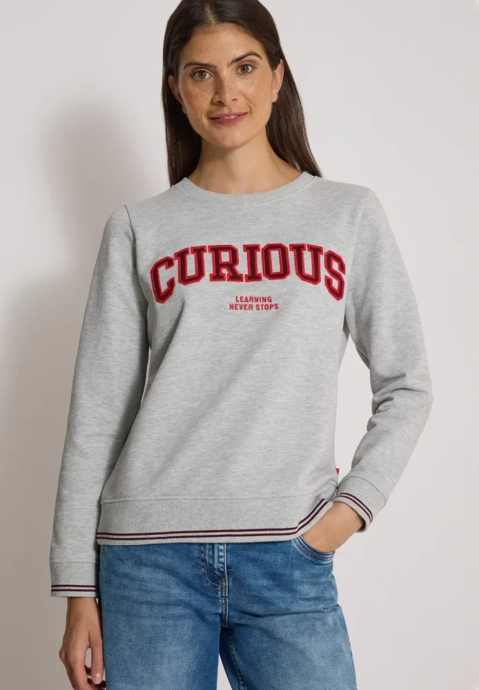 Sweatshirt mit Rundhals und Stickerei