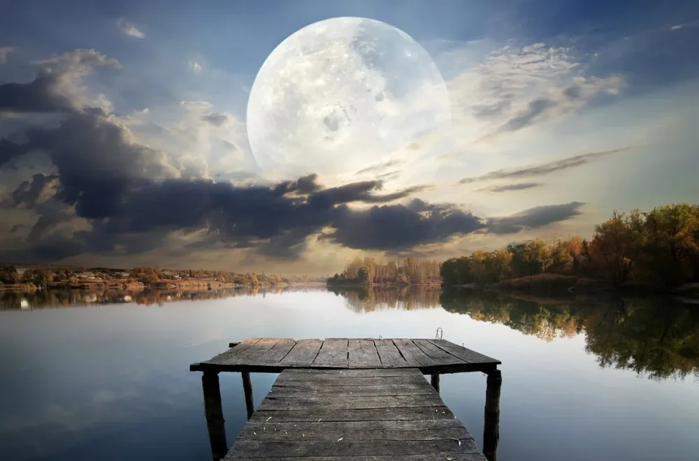 Papermoon Fototapete 