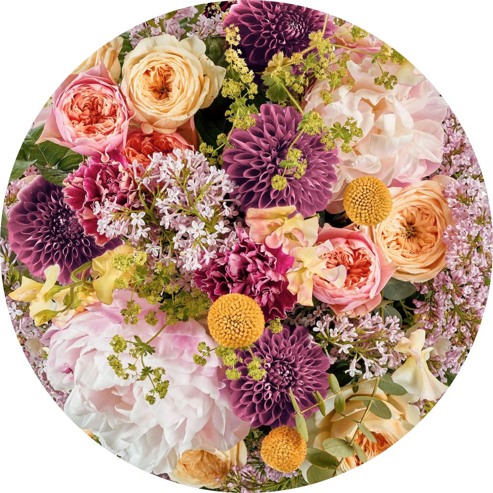 Komar Fototapete »Frescas«, Comic-botanisch, 125 x 125 cm