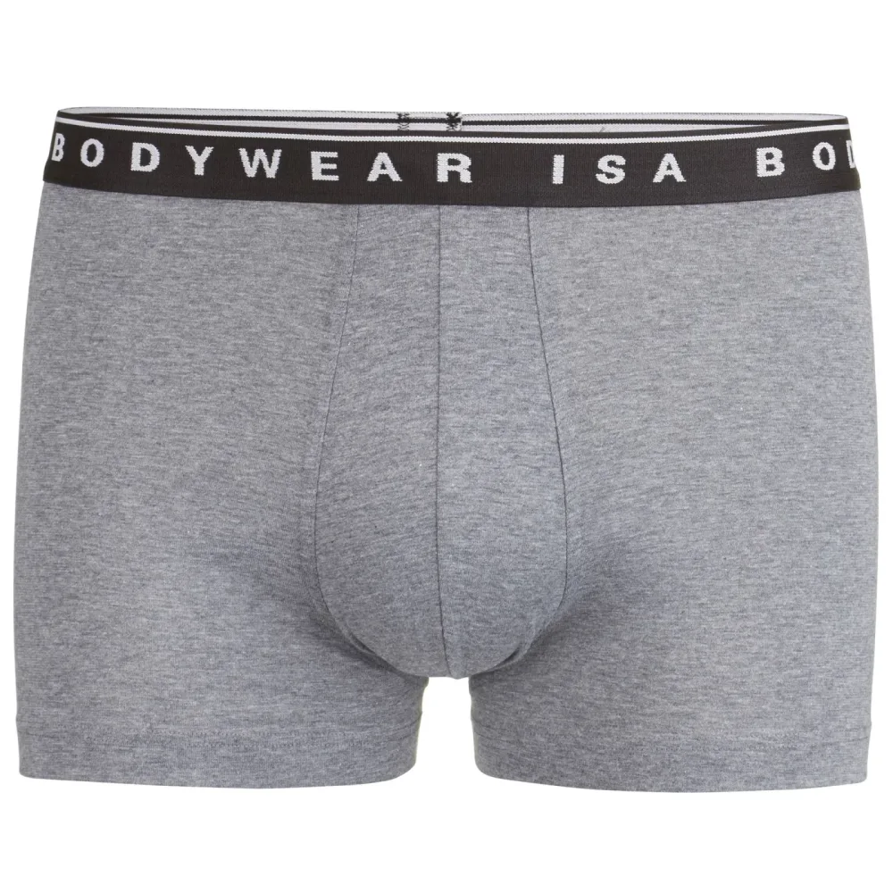 ISA bodywear - Panty, für Herren, Grau, Größe S
