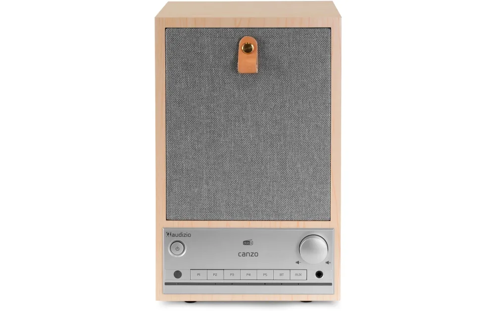 AUDIZIO Digitalradio (DAB+) 