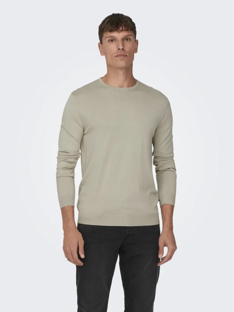 ONLY & SONS Rundhalspullover 