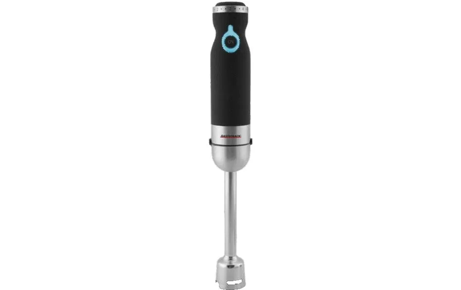 Gastroback Stabmixer 