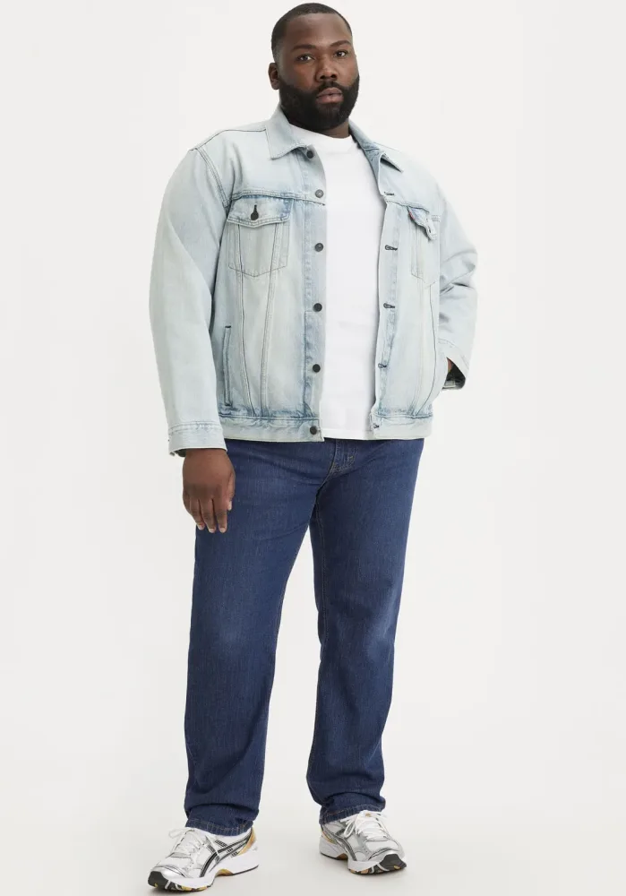 Levis Plus Regular-fit-Jeans 