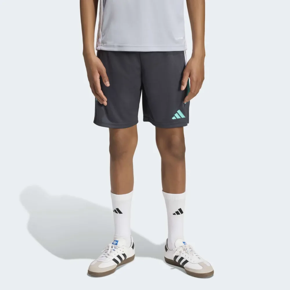 adidas Performance Trainingsshorts 