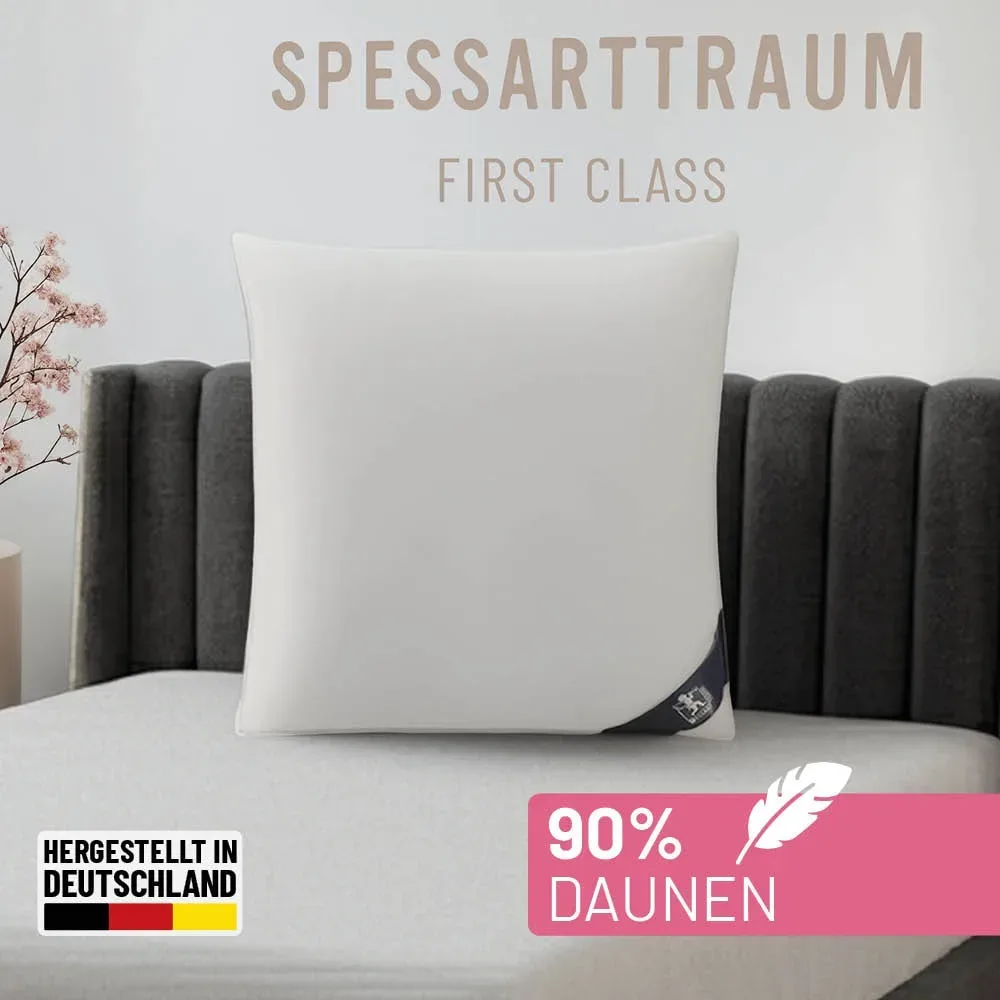 SPESSARTTRAUM Daunenkissen 