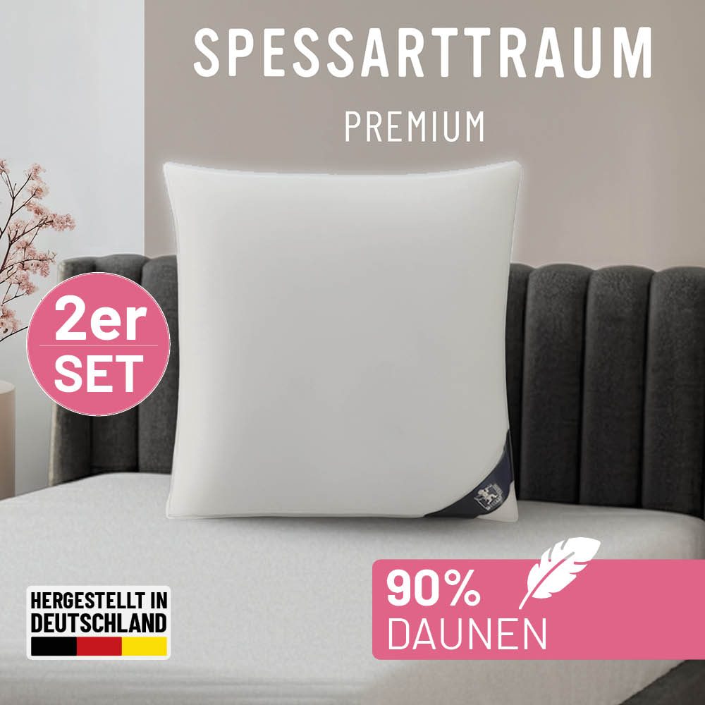 SPESSARTTRAUM Gänsedaunenkopfkissen 