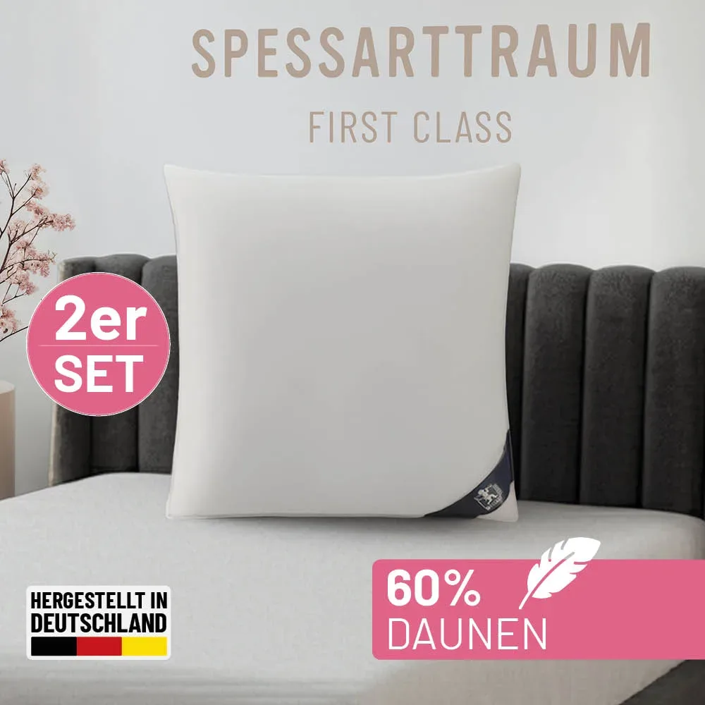 SPESSARTTRAUM Daunenkissen 