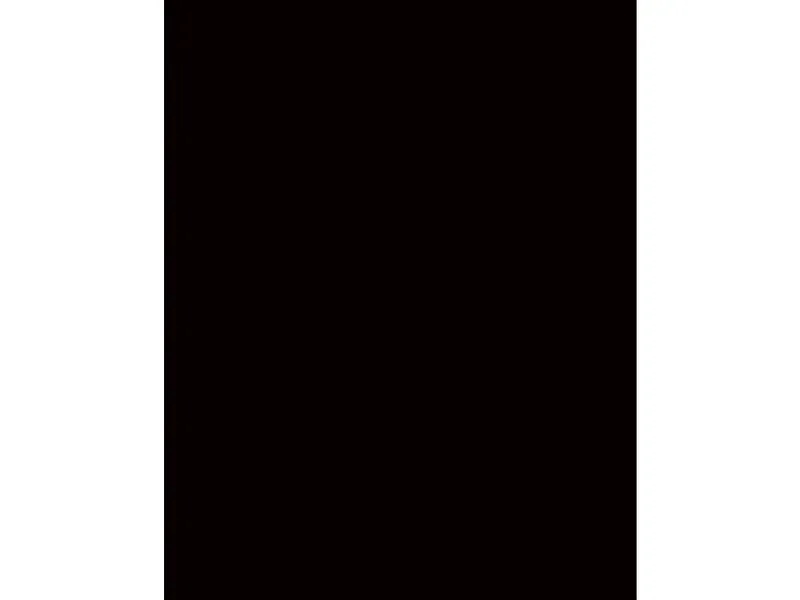 Schrankkorpus EVOLUTION schwarz 56.5x100x215cm