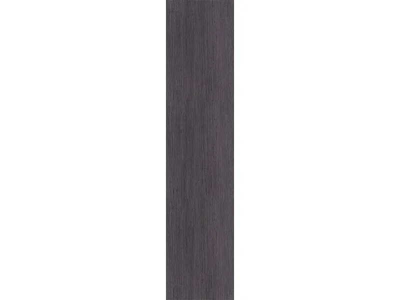 1 Tür EVOLUTION