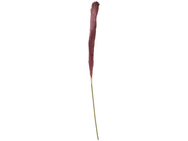 Pampas LIANA Violett
