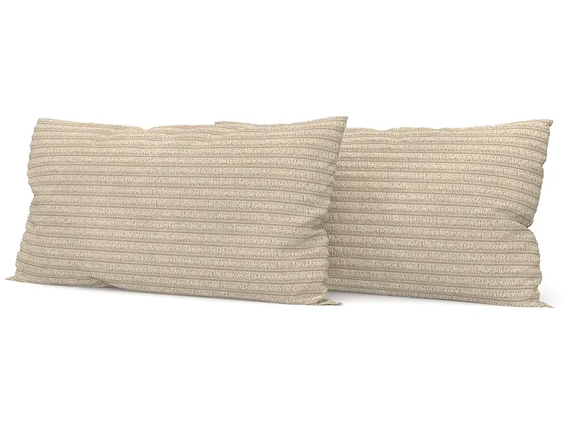 SWISS HOME STYLE Set 2 Kissen AMBER 50x70cm beige