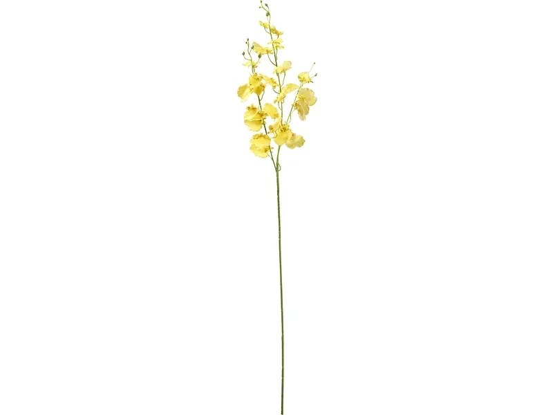 Kunstblume LÉONA