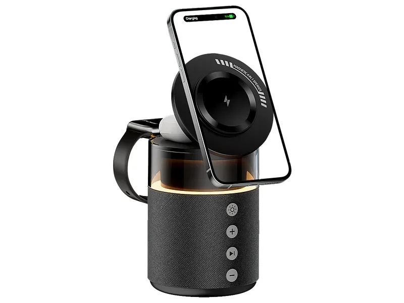 BLAUPUNKT Lautsprecher BLP6124-133-C bluetooth