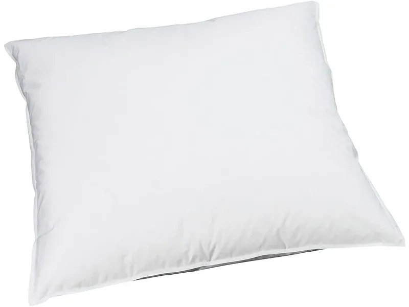 BILLERBECK EDITIONNaturkissen REVE DOWN BASIC 65x65cm