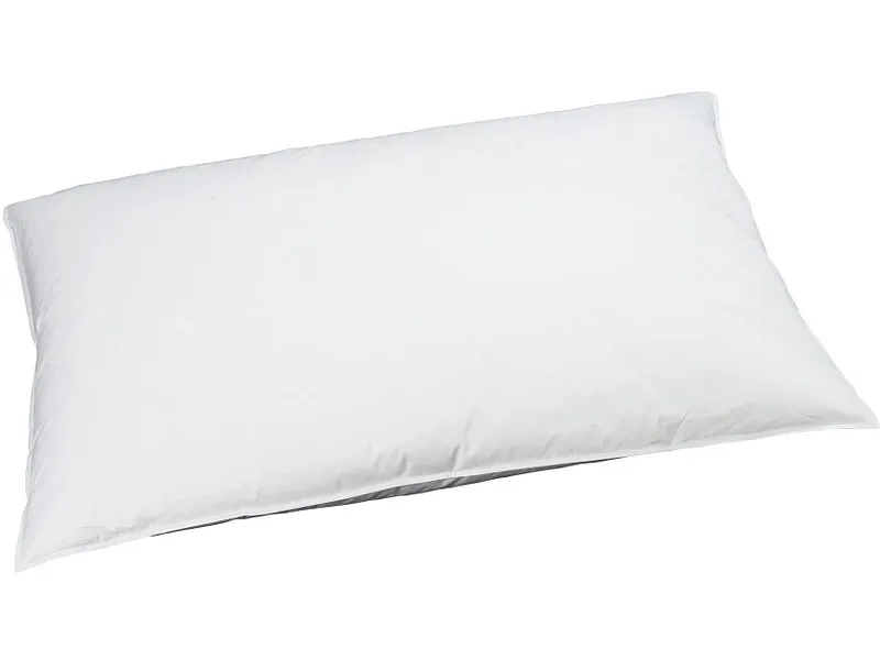 BILLERBECK EDITIONNaturkissen REVE DOWN BASIC 65x100cm