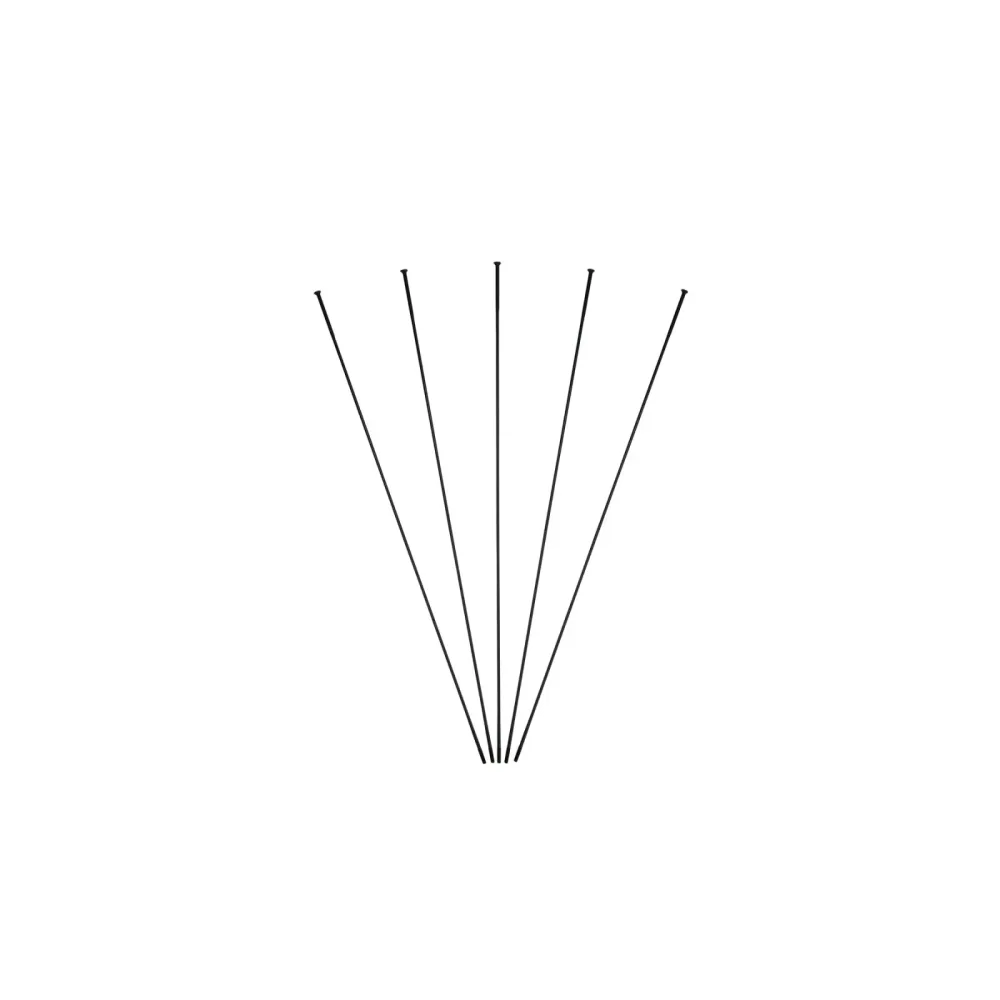 Speichen hinten Massi (x5)
