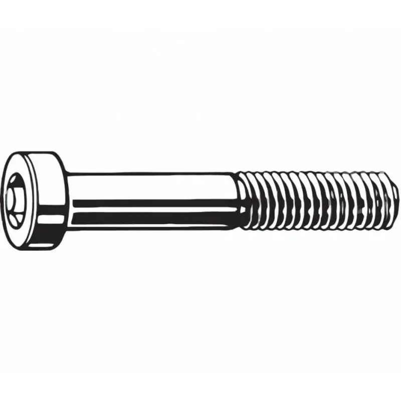 Paar Schrauben hinterer Bremssattel aus Edelstahl TRP flat mount