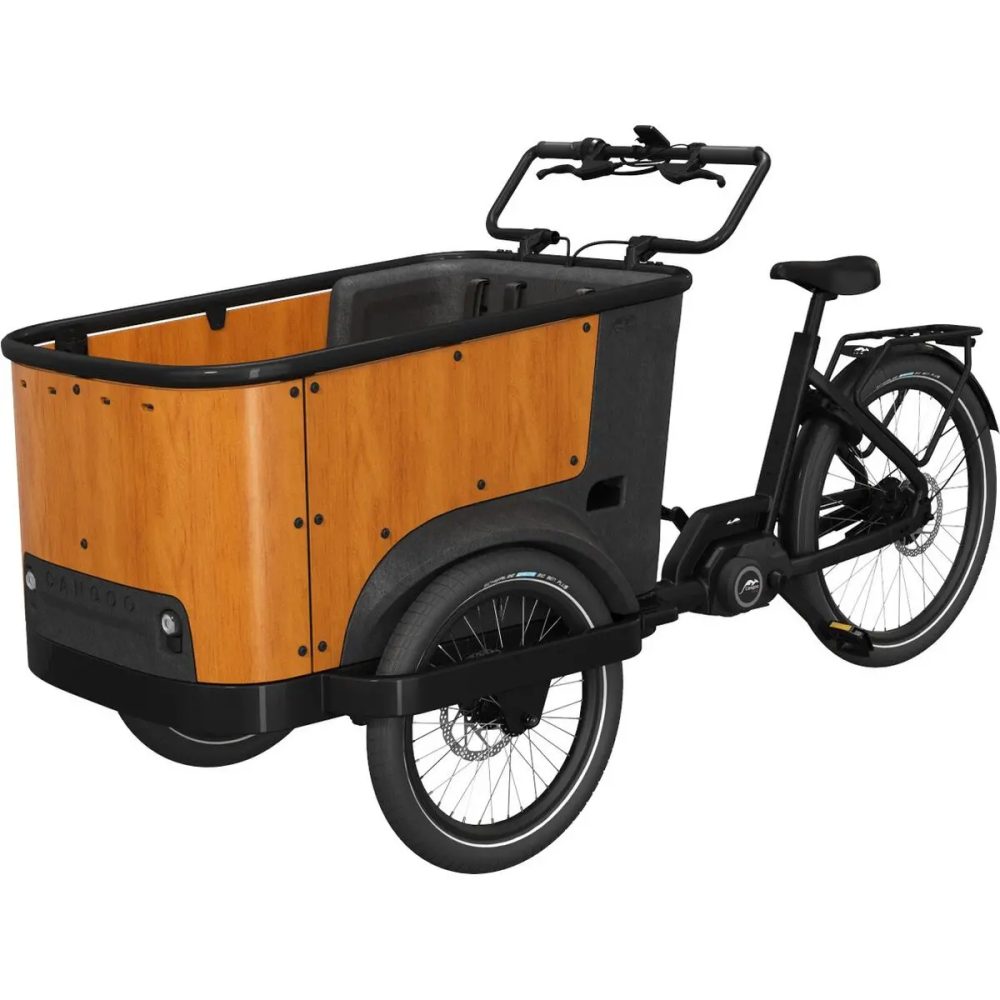 Elektrofahrrad Cangoo Buckle Up