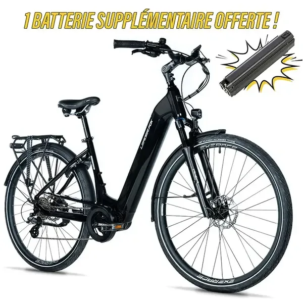 Elektrofahrrad Leader Fox Saga