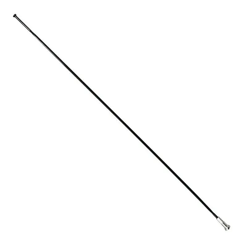Flache Edelstahl-Speiche mit geradem Kopf und Muttern P2R Sapim 270 mm