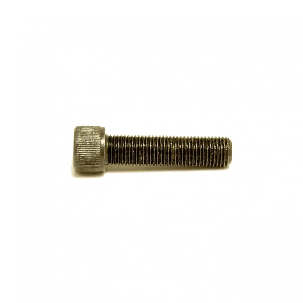 Schraube für Nabe Pride Racing Bolt