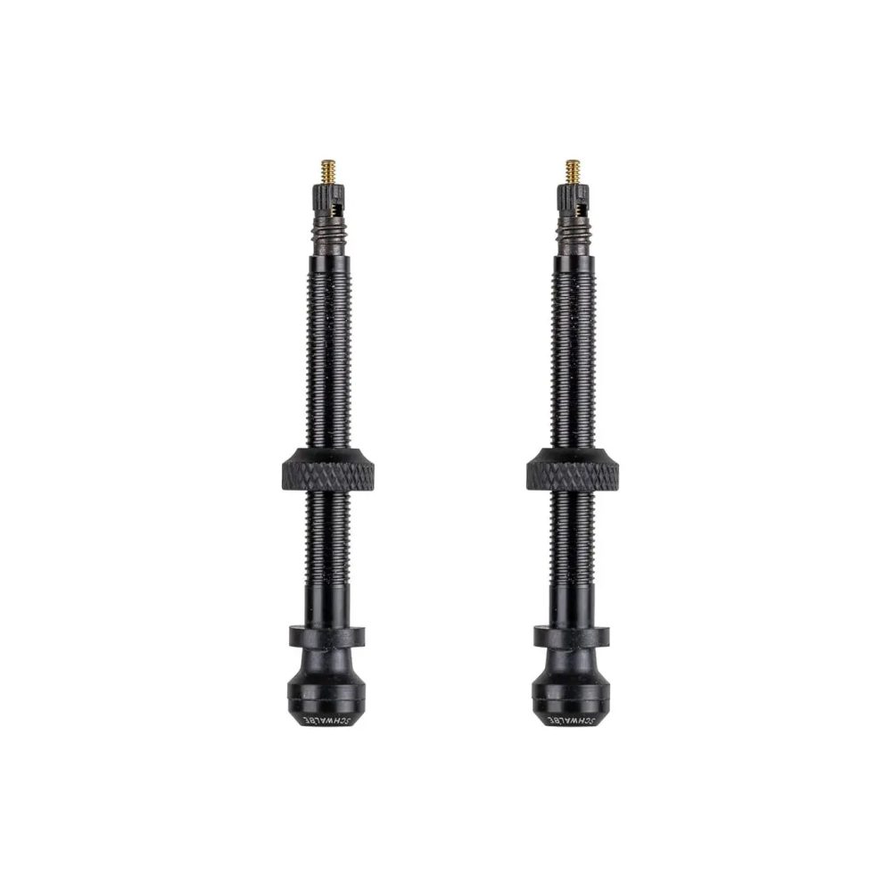 Röhrenventil Schwalbe (x2)