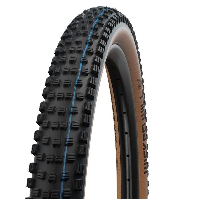 Reifen von Schwalbe Wicked Will