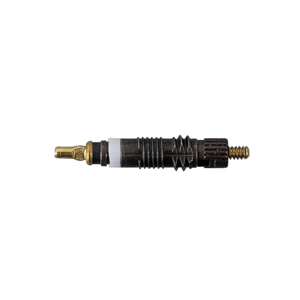 Ventil Schwalbe Core (x50)