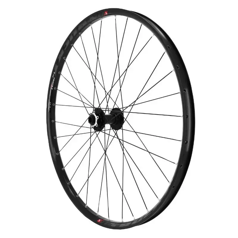 Laufrad MTB Disc Vorderrad Nabe Lager Disc 6 Loch (Tubeless und Tubetype kompatibel) für Steckachse 15-100 für Reifen 29 x 2.00-2.50 - Innenfelge 30 mm Velox Trucky 30