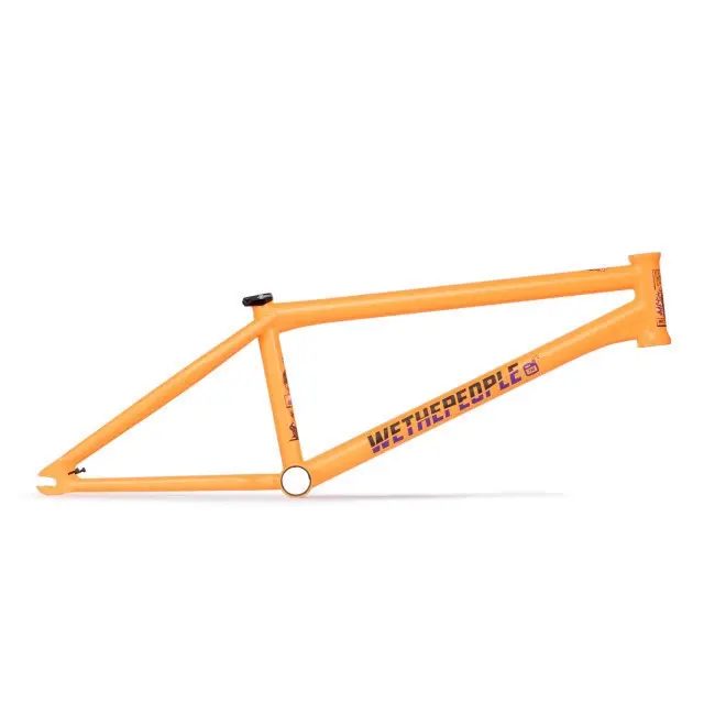Rahmen Wethepeople Doomsayer J. Godwin Sig.