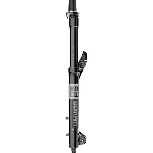 Gabel Rockshox Domain Gold Isolator RC3 OS44