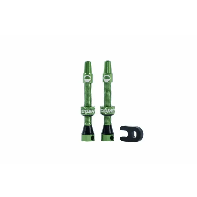 Paar Tubeless-Ventile CushCore