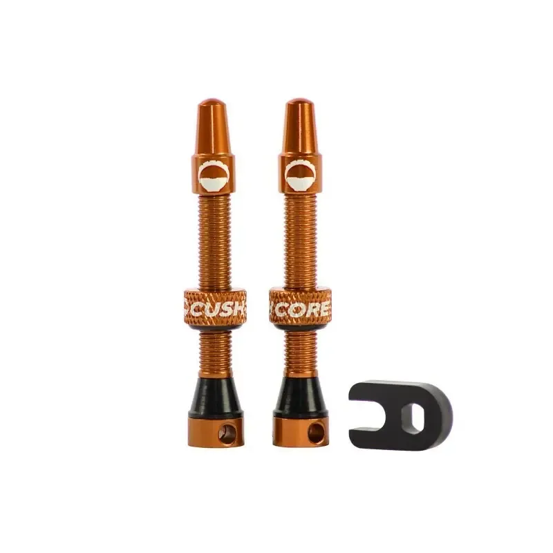 Paar Tubeless-Ventile CushCore