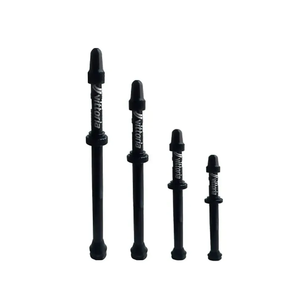Tubeless-Ventil Vittoria (x2)