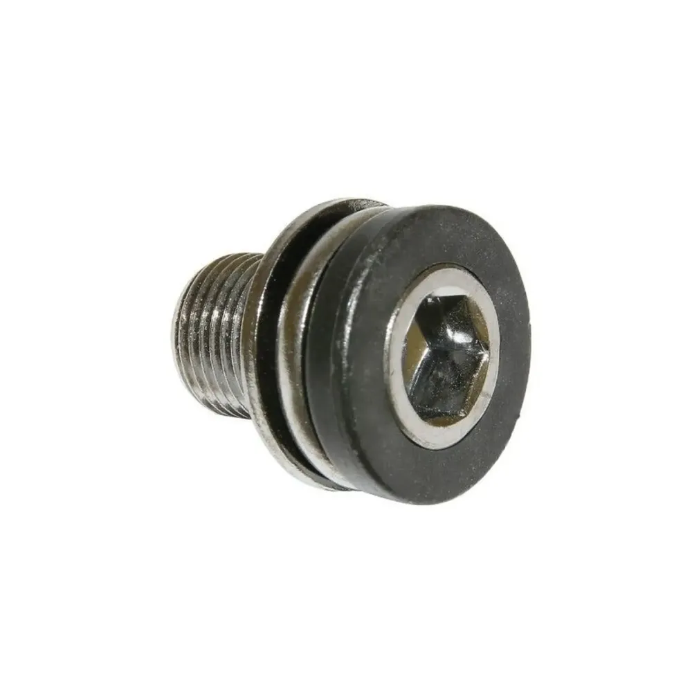 Schraube Tretlagergehäuse Algi 12X100 (00343000)