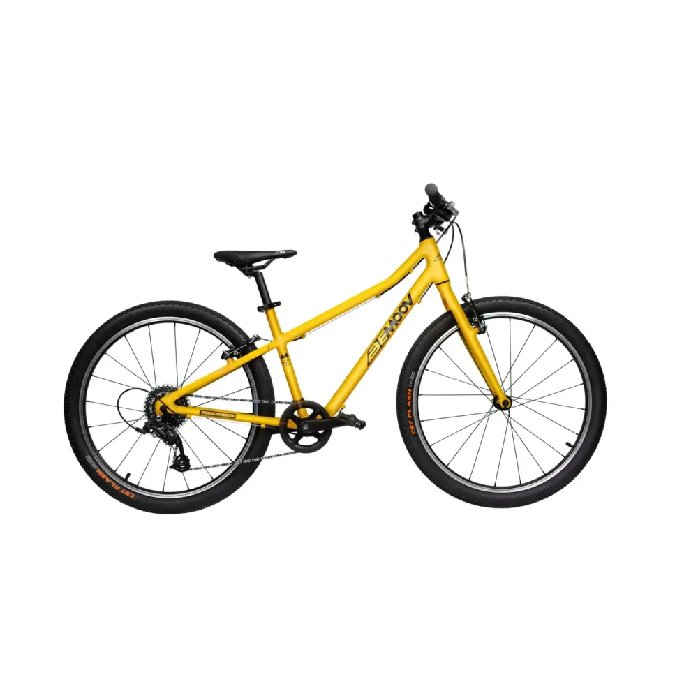 Kinderfahrrad Bemoov M24