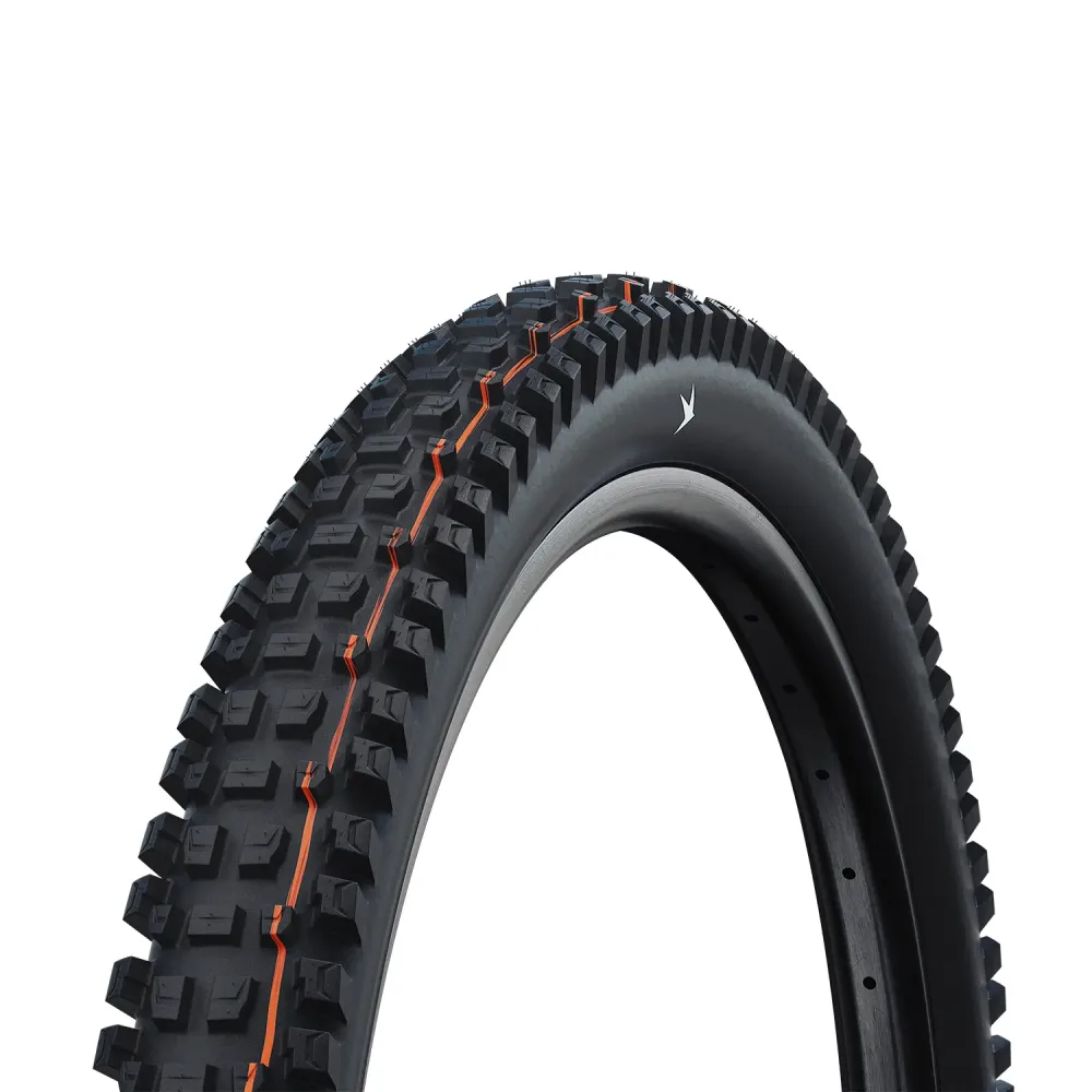 Pneu Schwalbe Albert Gravity Pro - TLR - Addix Soft - Radial