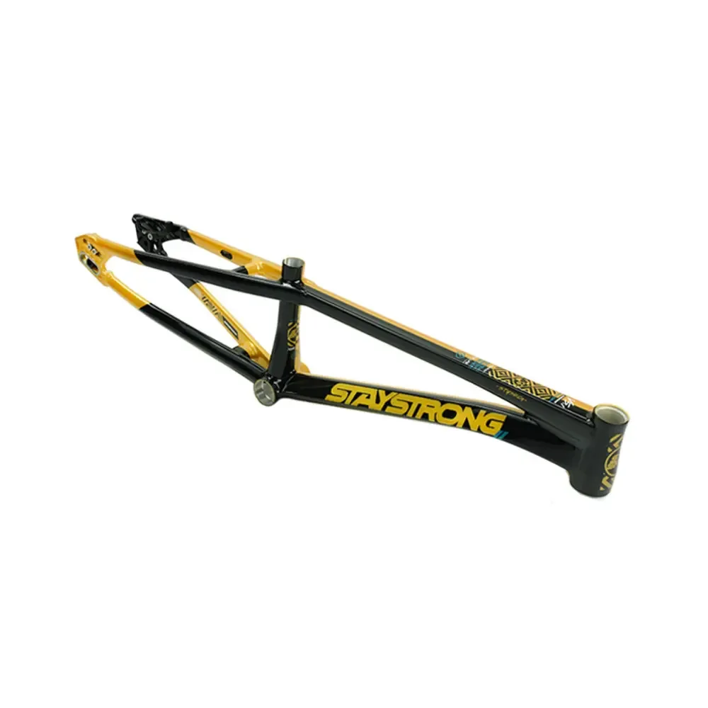 BMX-Rahmen Stay Strong For Life V5.1 2026