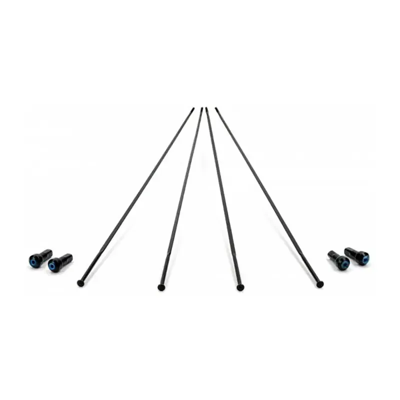 Speichen Scheibenrad vorne links/hinten rechts Campagnolo Bora One 50 (x4)