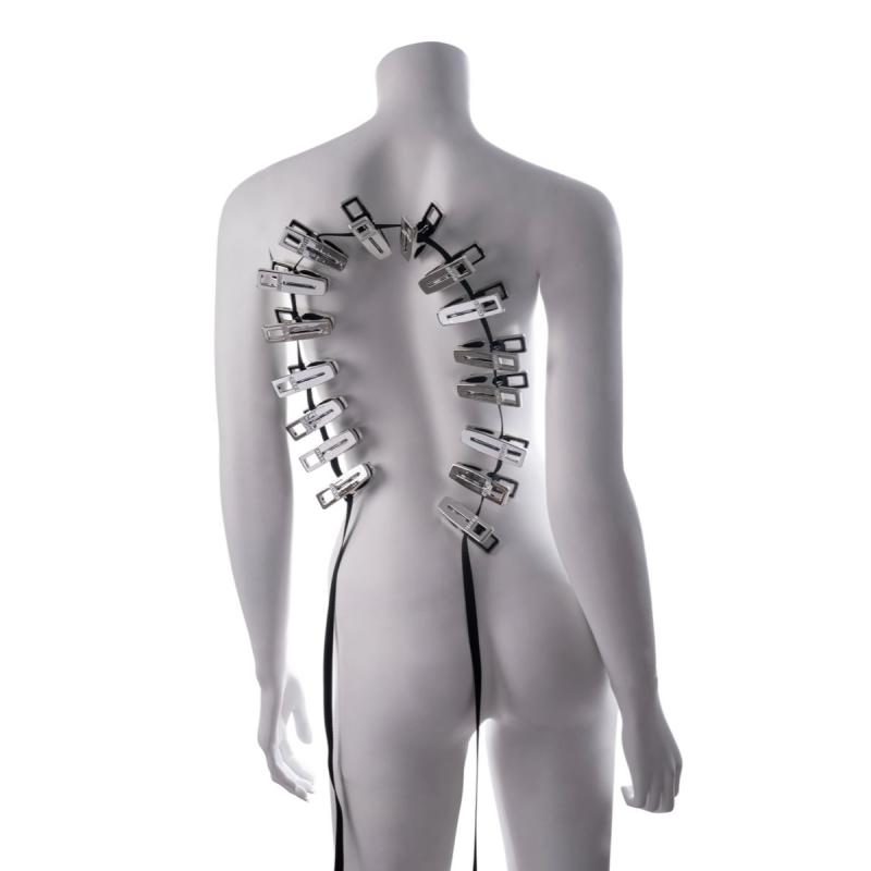 Sportsheets - Edge Body Zipper Clothes Pins - Silber