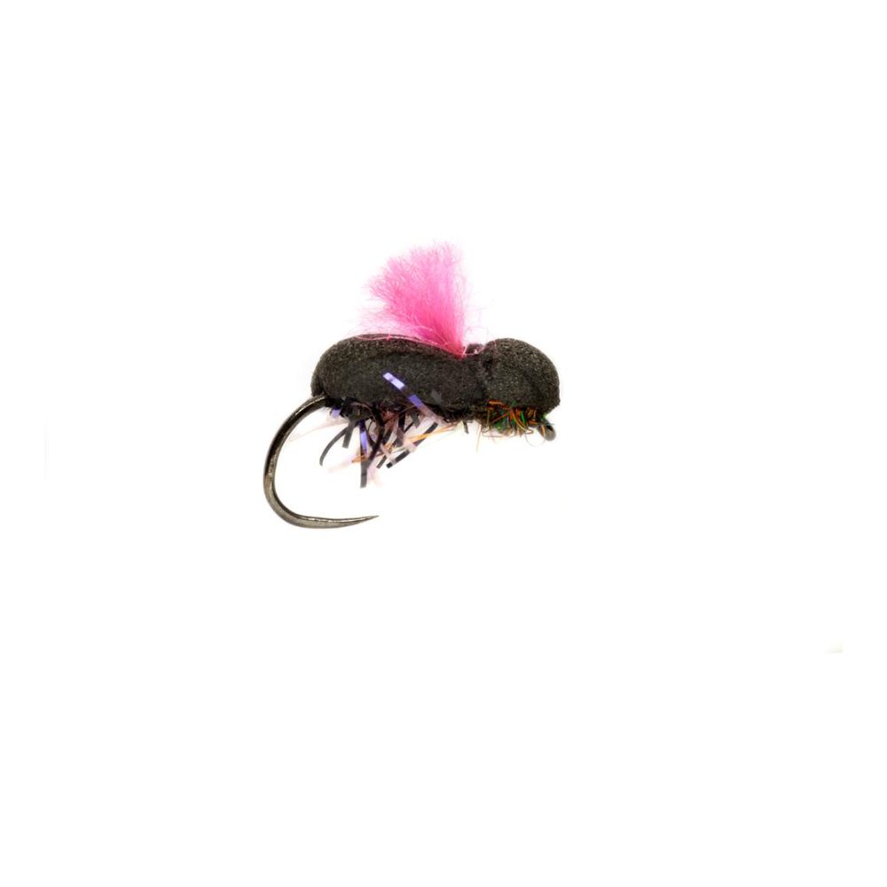 Fulling Mill Procter's Target Beetle Pink o.W. - Trockenfliege