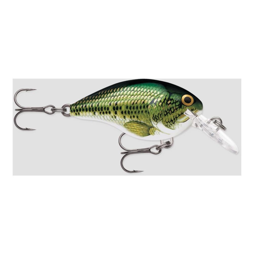 Rapala DT® (DIVES-TO) SERIES - Wobbler