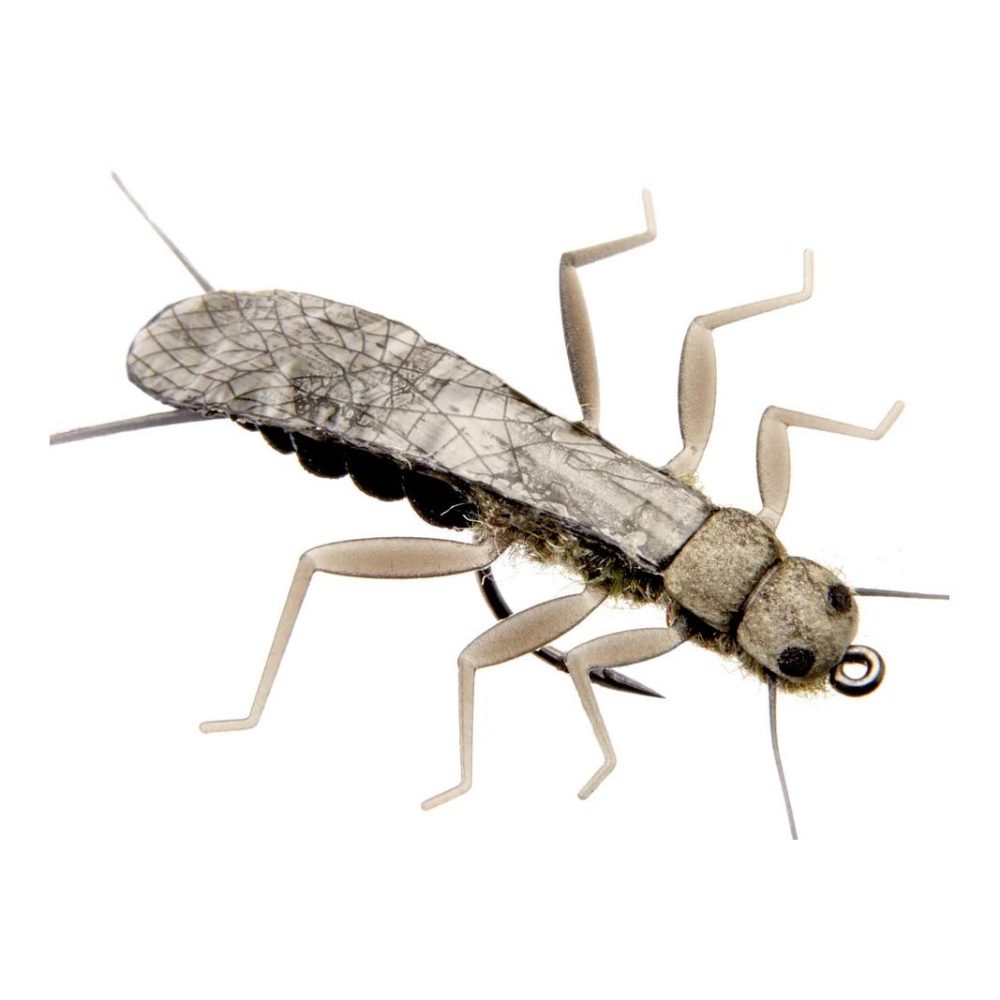 J:son Stonefly Adult