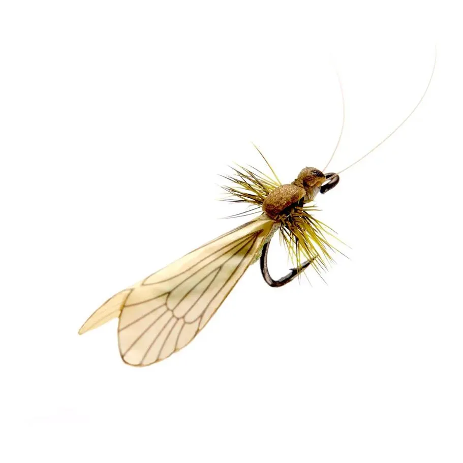 J:son Caddis Adult - Trockenfliege