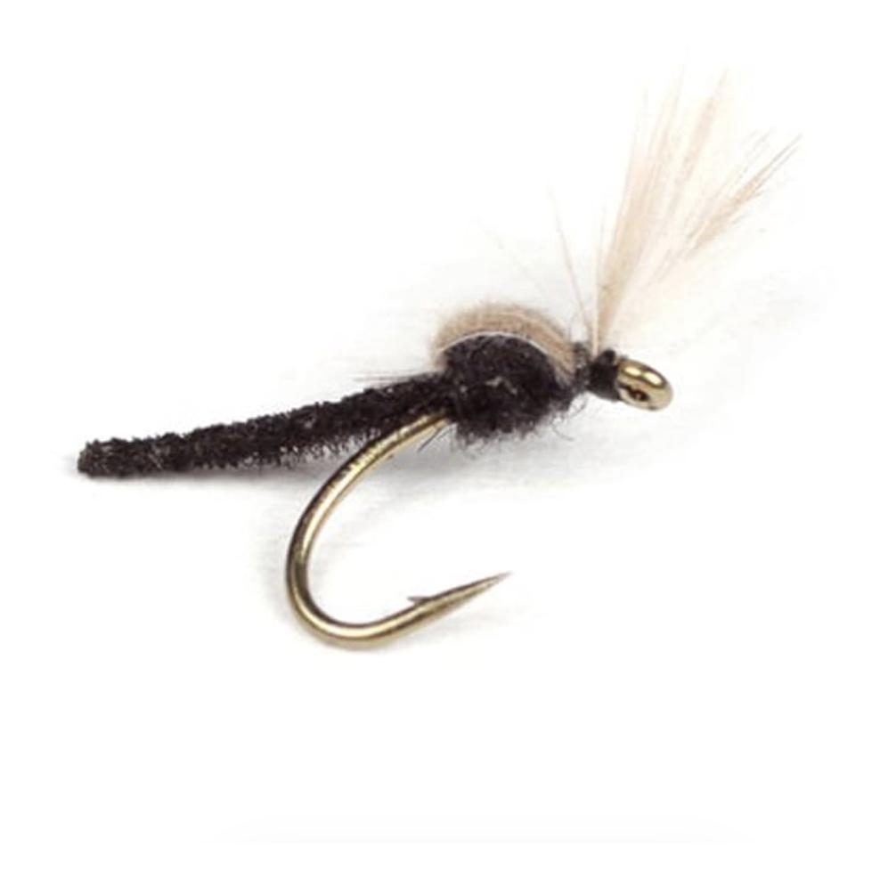 Guideline CDC Palomino Midge